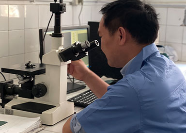 هانغتشو تشيانجيانغ سلسلة الصناعات المحدودة